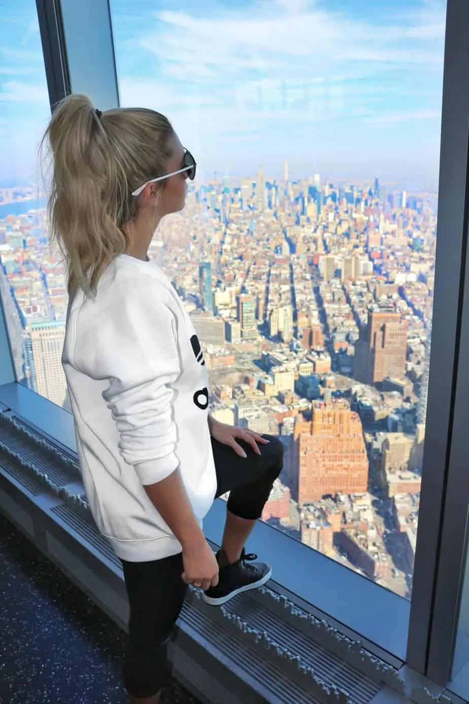 1WTC observatory view