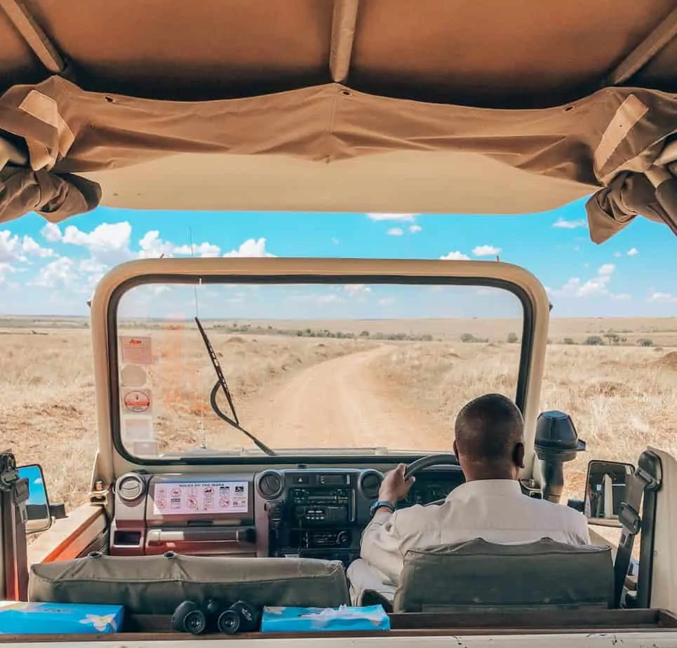 kenya safari in the masai mara