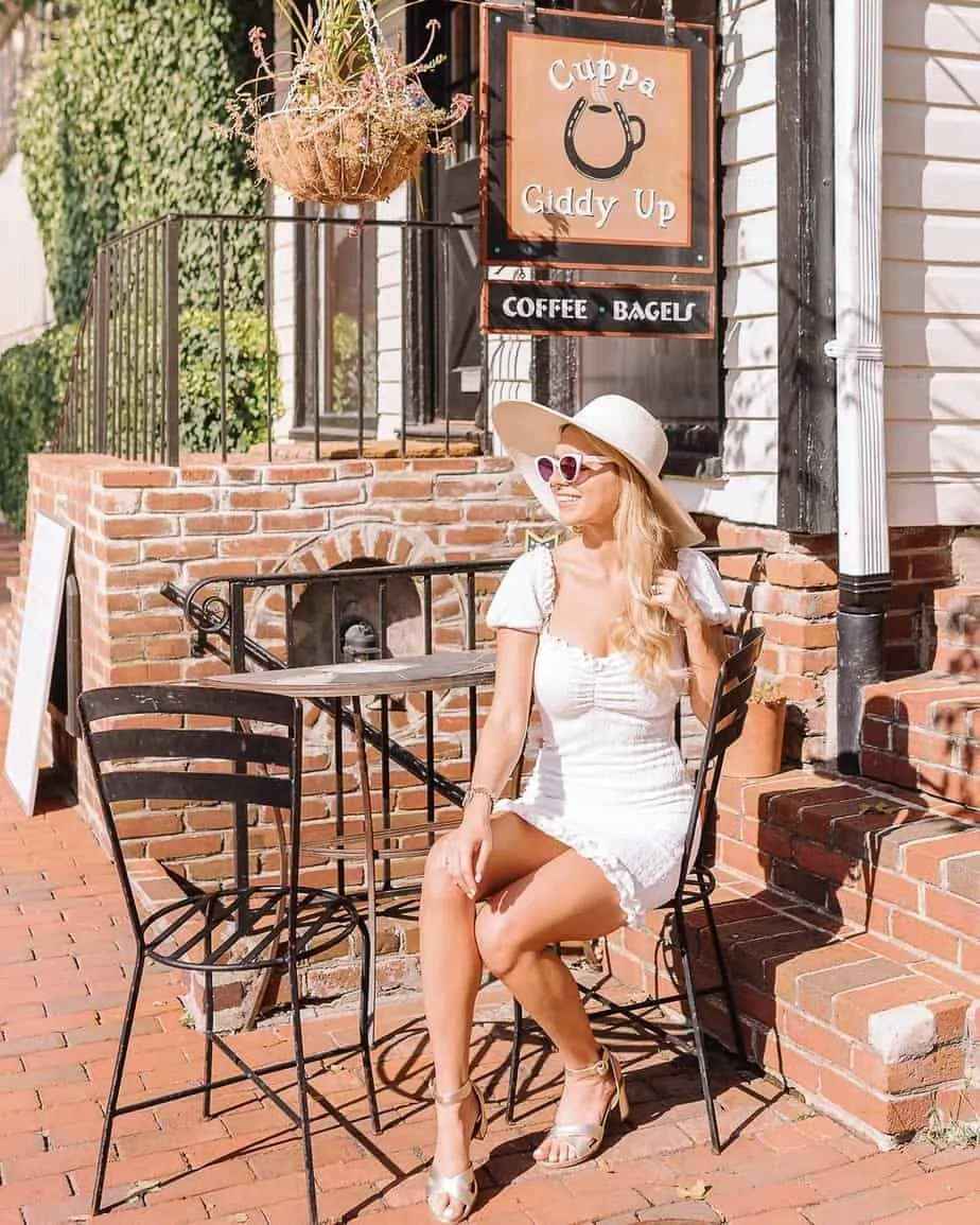 The 9 Best Things to Do in Middleburg, VA Top Attractions and Activities