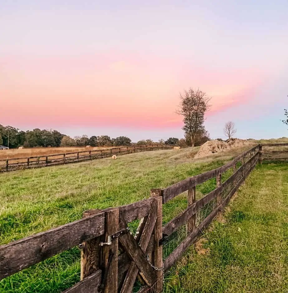 The 9 Best Things to Do in Middleburg, VA Top Attractions and Activities