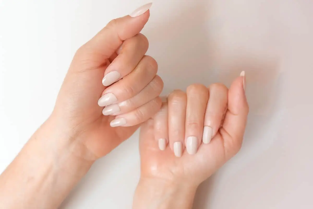 Elegant Hand with Long Square Gel Extension Nails and French Tip Design |  MUSE AI