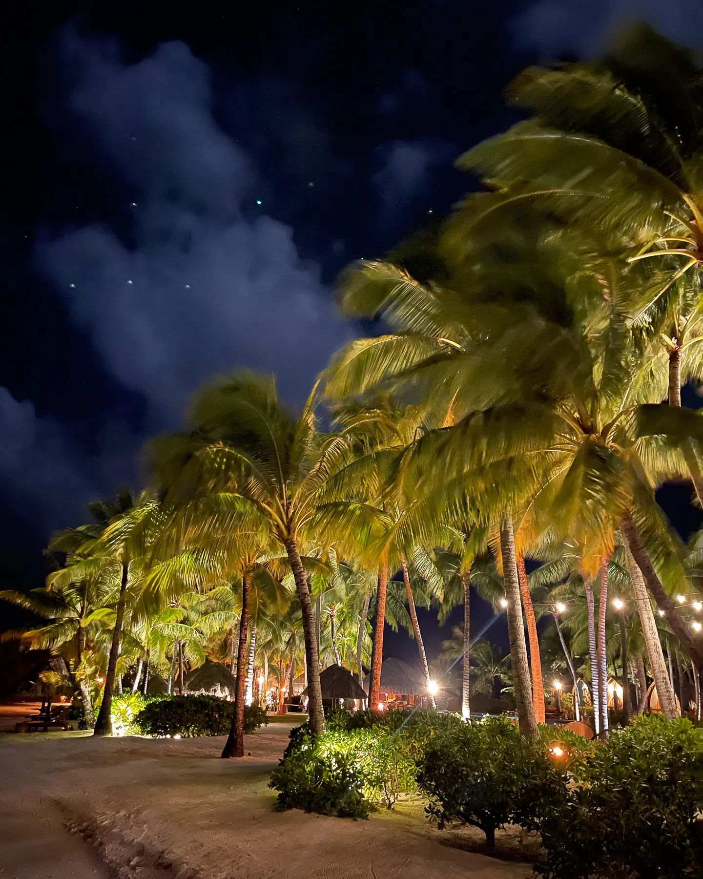 four seasons bora bora restaurants