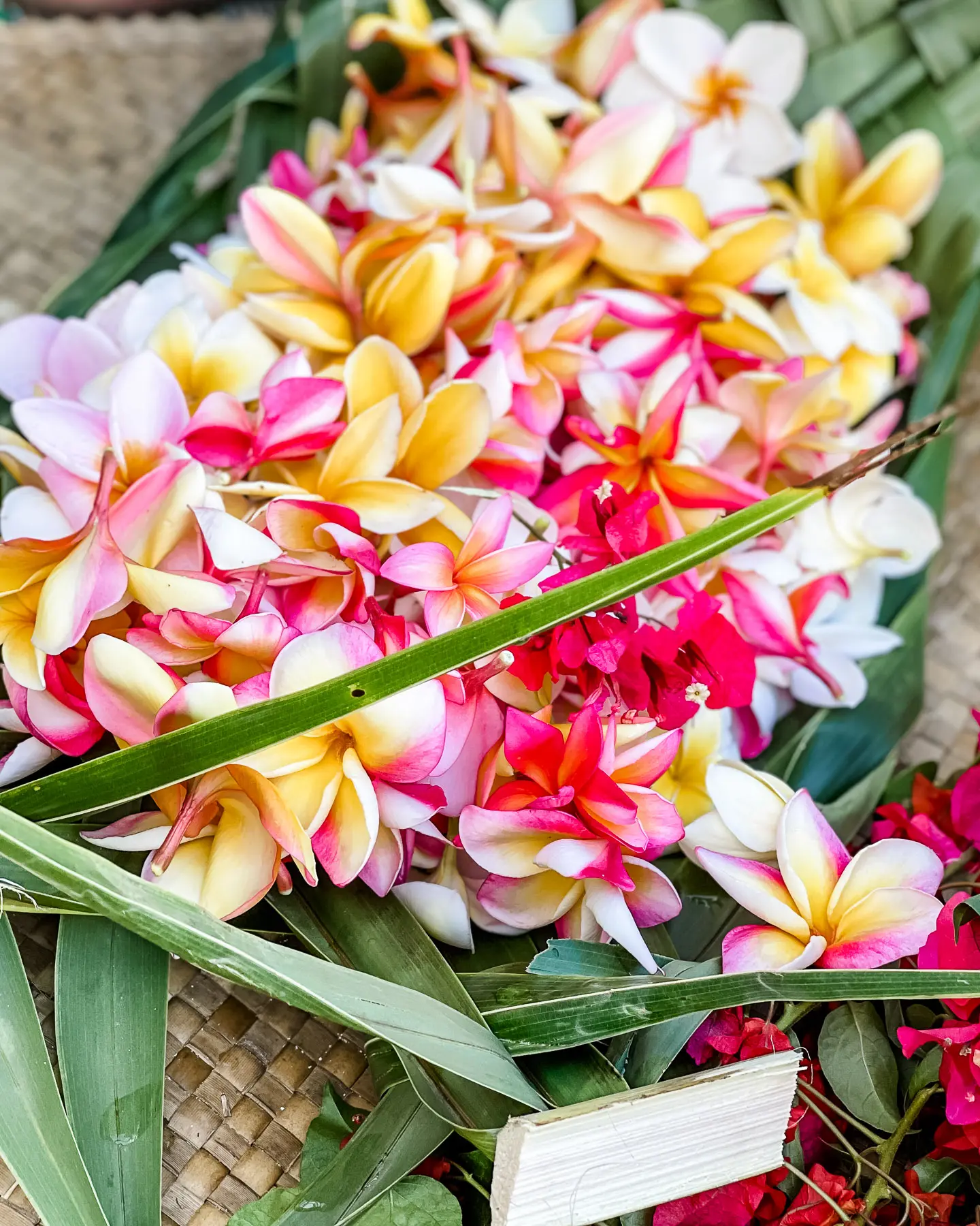 four seasons bora bora review